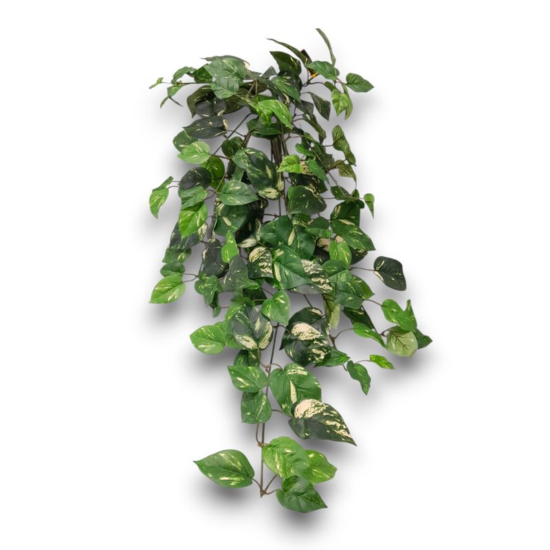 33&quot; Pothos Ivy Leaf Bush w/117 Leaves Green