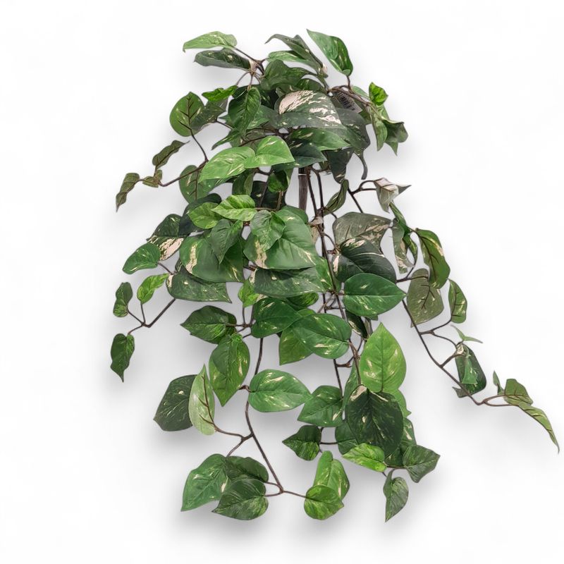 23&quot; Pothos Ivy Bush Green w/117 Leaves