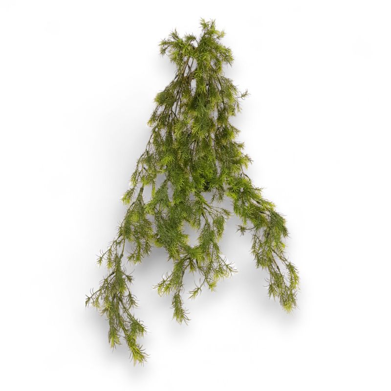 31&quot; Hanging Sprengeri Bush Green