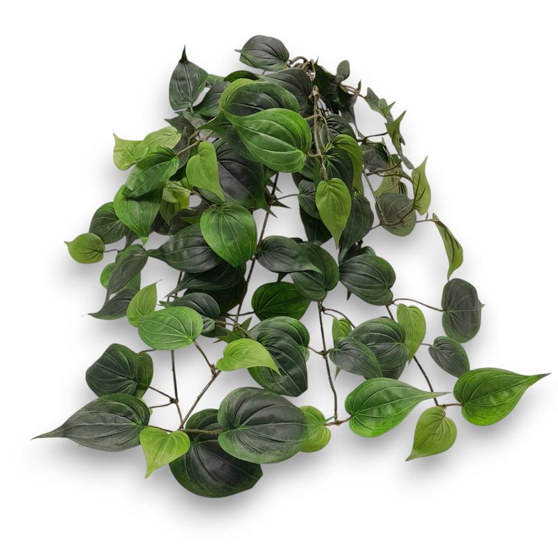 23&quot; Philodendron Bush w/115 Leaves Green