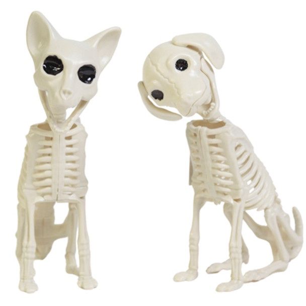 Sitting Animal Skeleton Dog 7.2&quot;/Cat 8.2&quot; Assorted