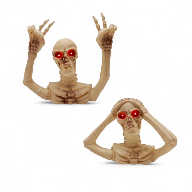 7" Skeleton Torso w/Red Light Up Eyes Assorted 7" Skeleton Torso w/Red Light Up Eyes Assorted