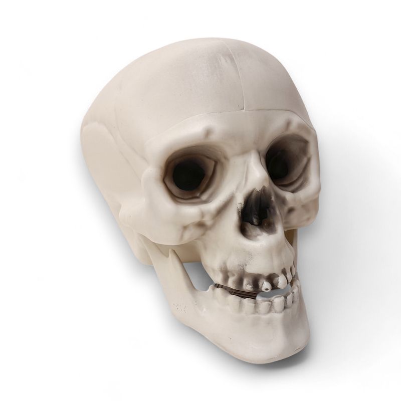 8.6"x6.3"x6.7" Plastic Skull w/Movable Mouth 8.6"x6.3"x6.7" Plastic Skull w/Movable Mouth