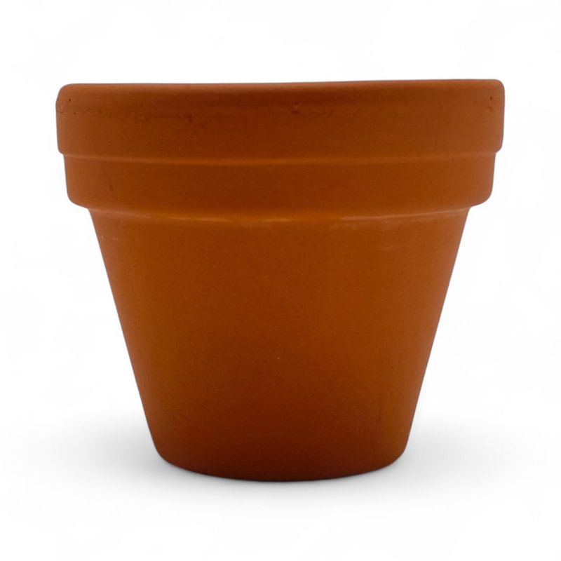 1.38&quot;  Terracotta Pot (Clay)