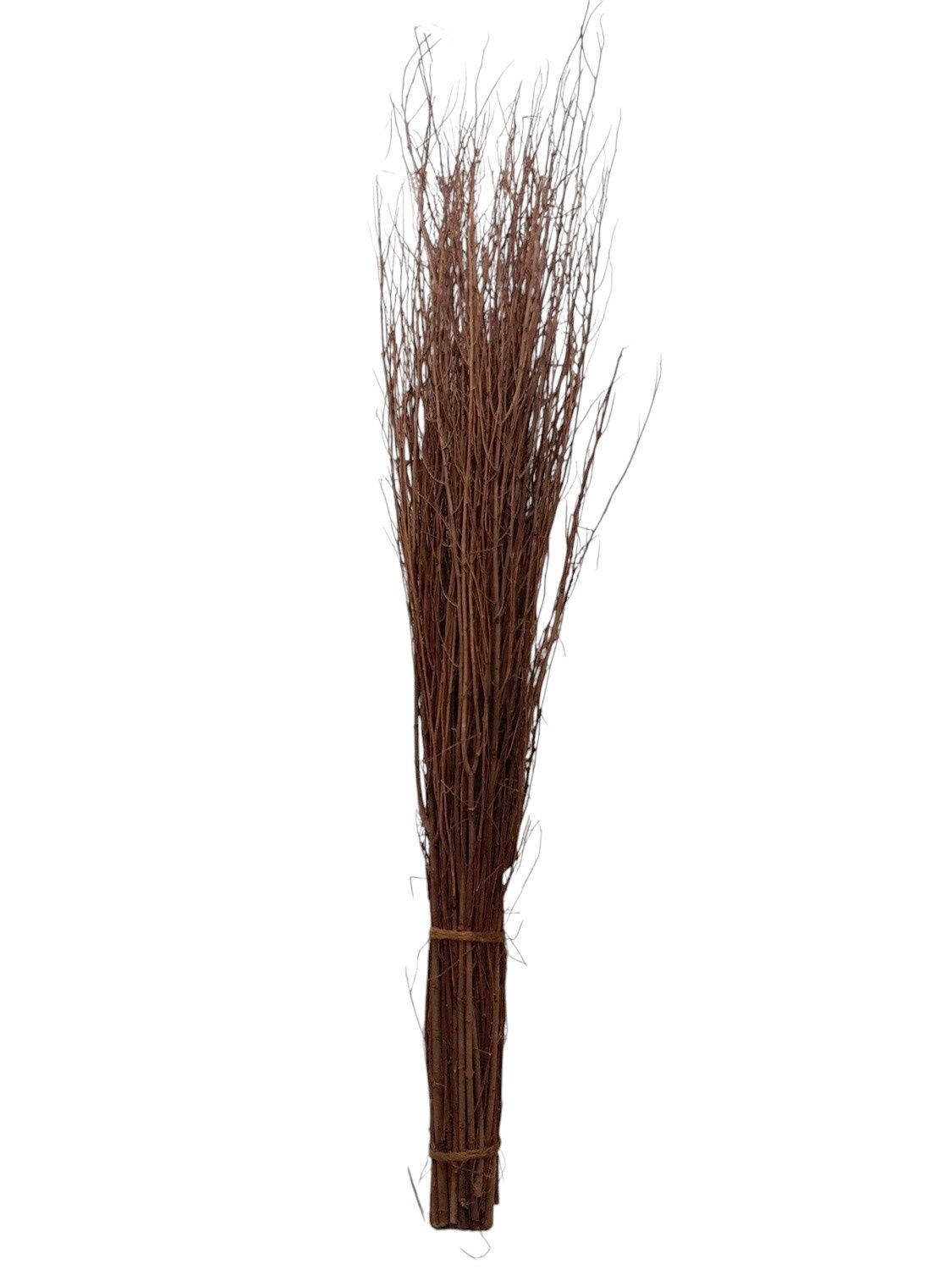 48" Birch Branch Bundle Natural