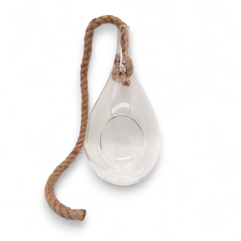 10.5" Hanging Teardrop Terrarium (Glass)