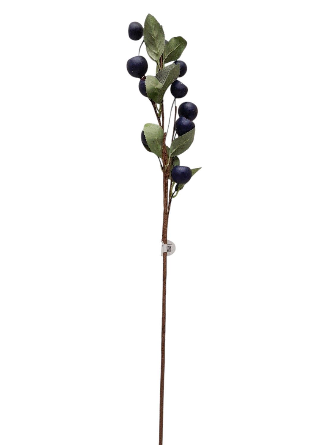 27" Blueberry Spray