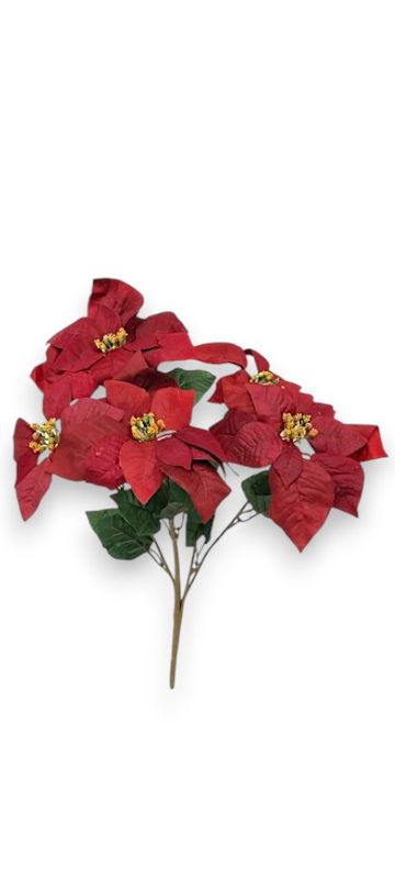 20" Micropeach Poinsettia Bush x5 w/6"-7" Heads Burgundy