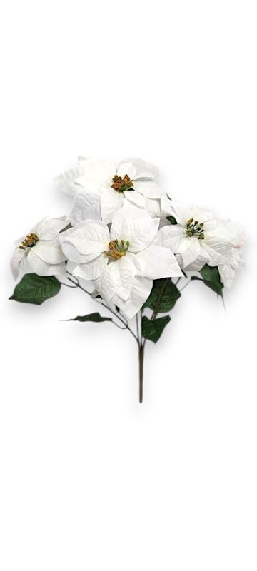19" Micropeach Poinsettia Bush x5 Cream