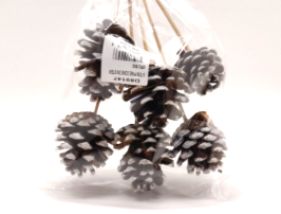 6pc 21" 5-7cm Frosted Pinecone Stems