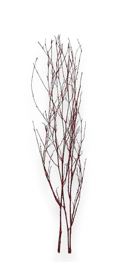 36" Glitter Twig Spray Red