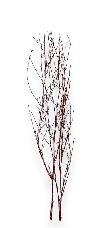 36" Glitter Twig Spray Red