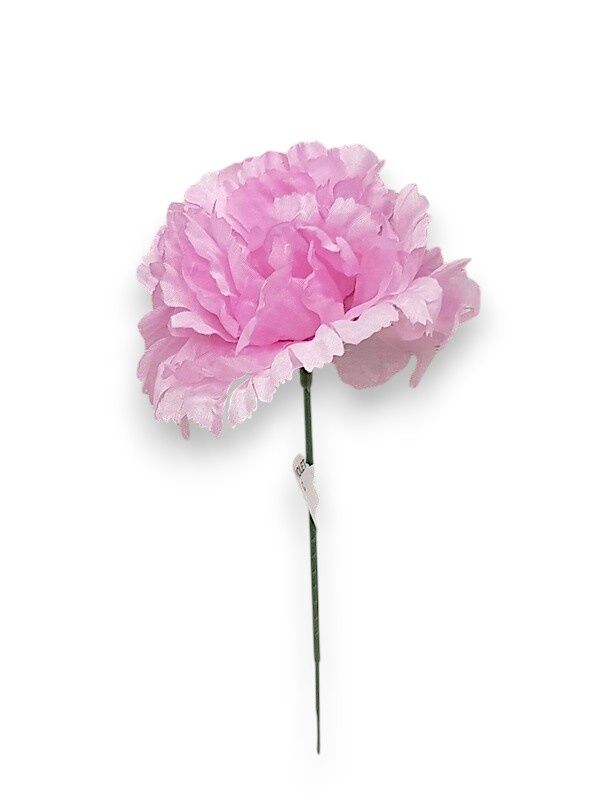 Large Carnation Pick Violet