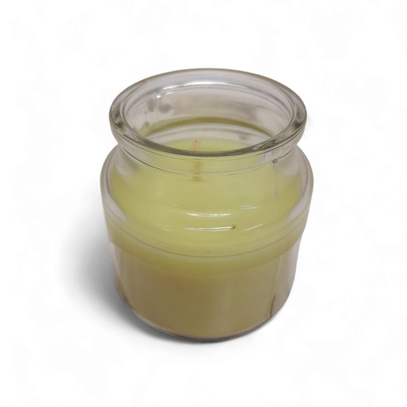 3oz Jar Candle Light Green Spring Garden