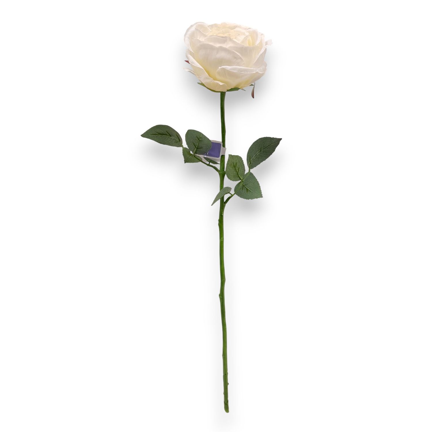23" Cabbage Rose Stem w/4" Head White