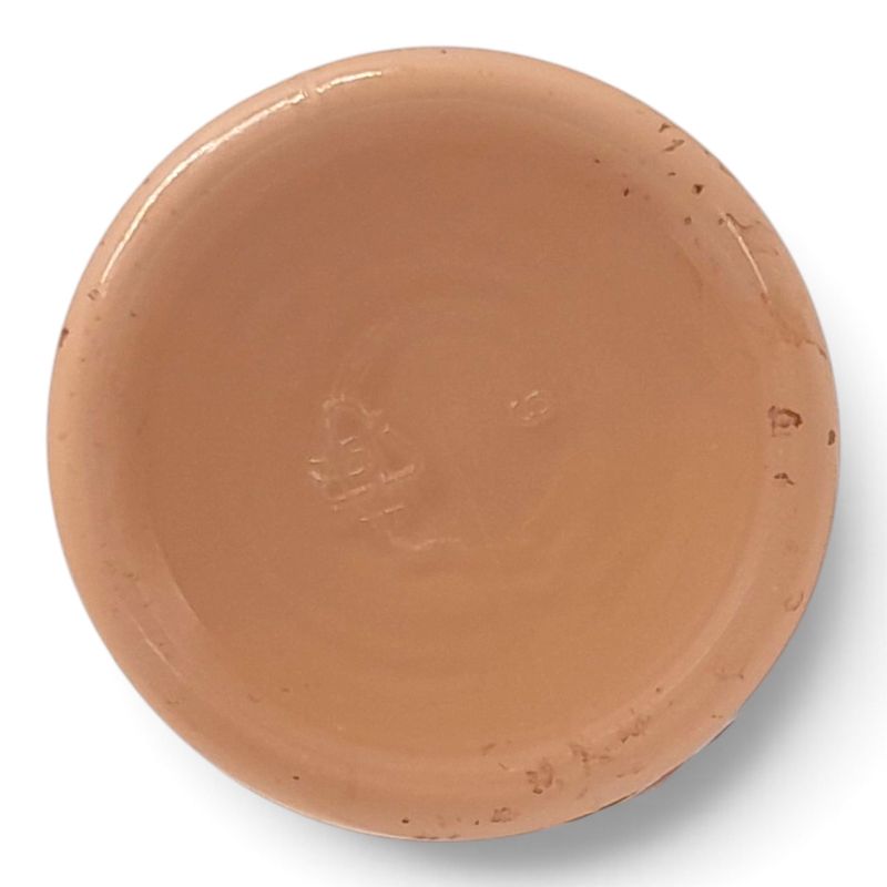 2oz Patio Paint Vintage Rose