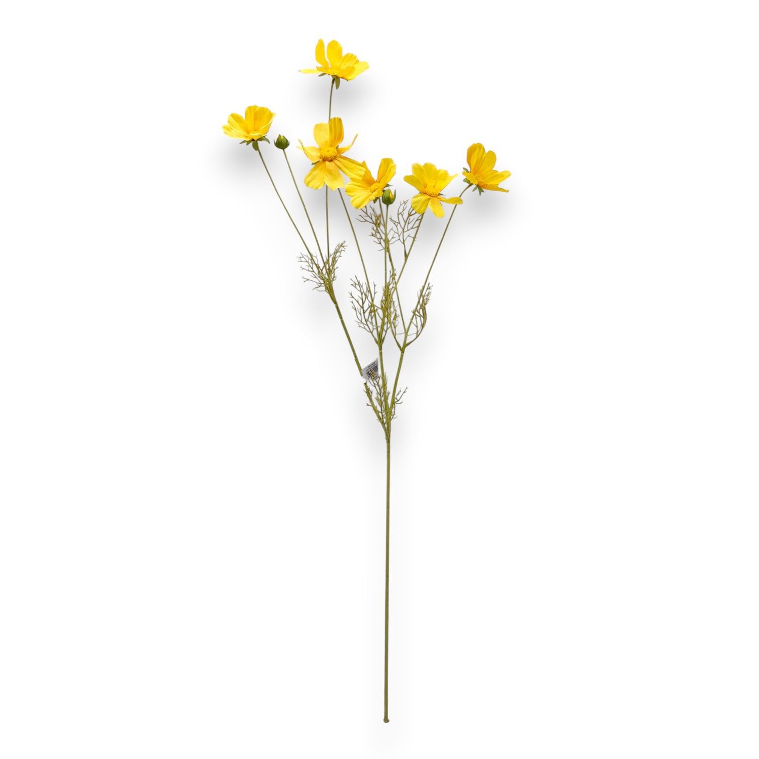 36" Cosmos Spray x6 w/Buds Yellow