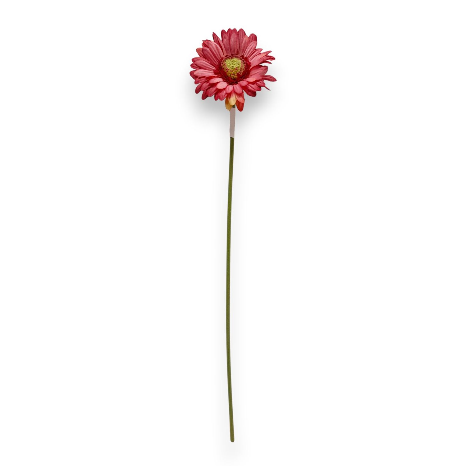 23" Gerbera Daisy Stem Burgundy/Pink