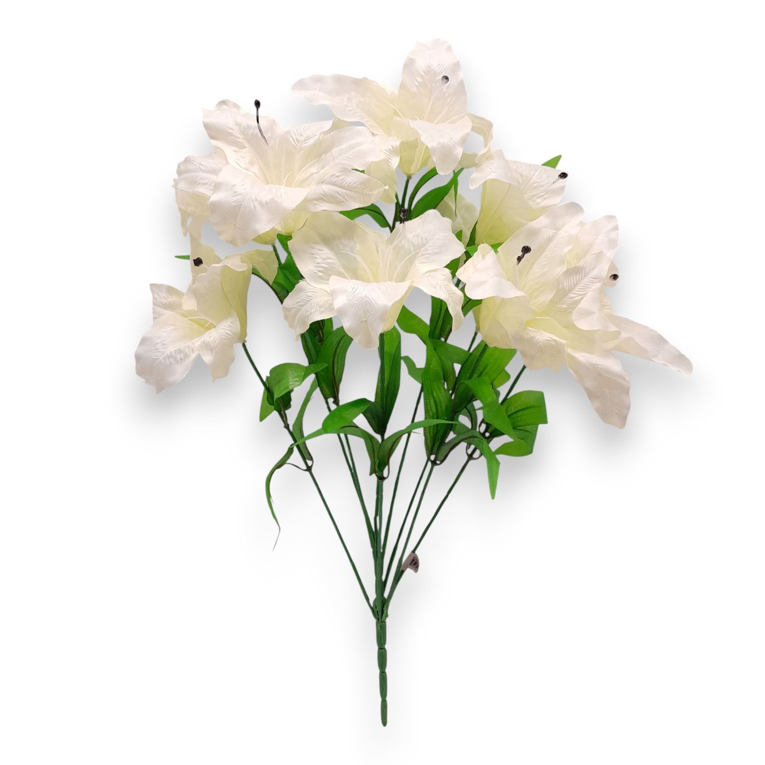 24" Lily Bush x9 Cream