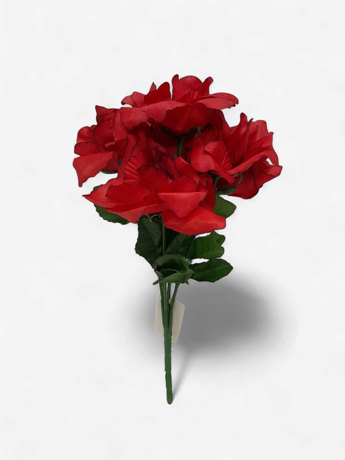 12" Rose Bush x7 Black/Red