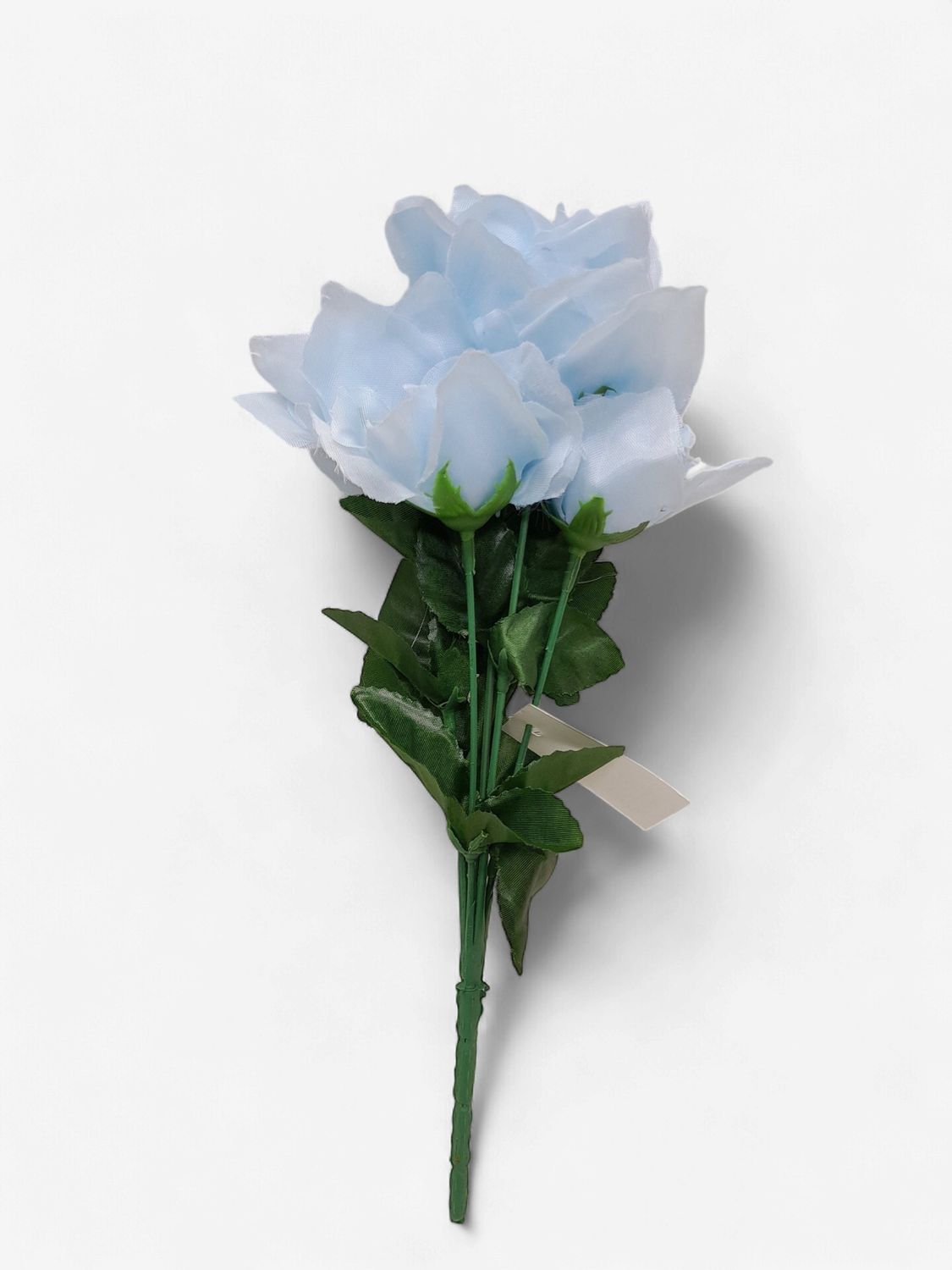 12" Rose Bush x7 Light Blue
