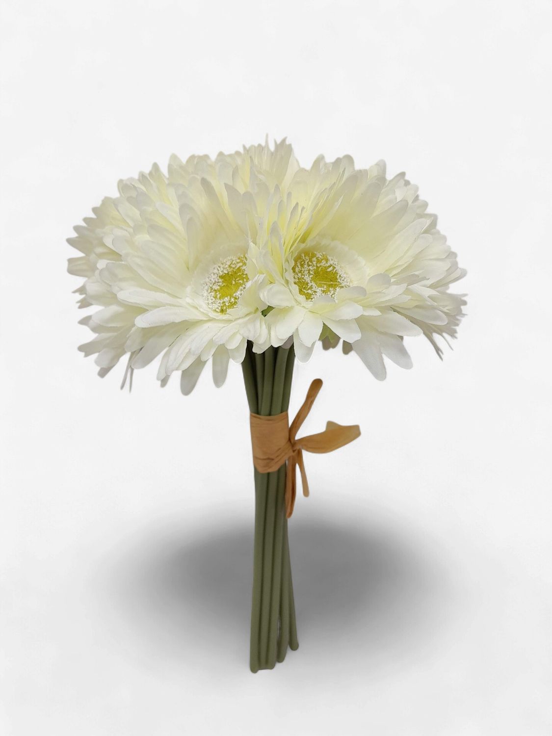 10.5" Gerbera Daisy Bouquet x9 Cream/White