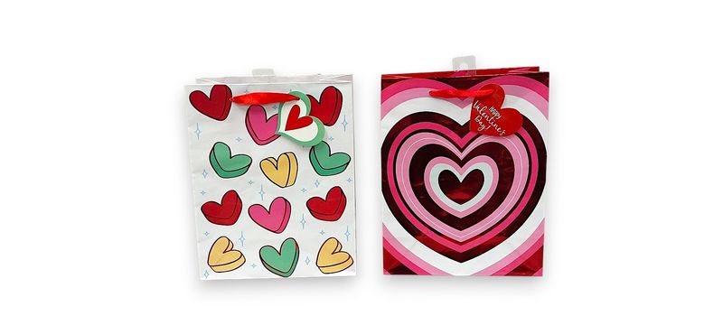8"x 10"x 4" Valentine Gift Bag Assorted (1 piece)