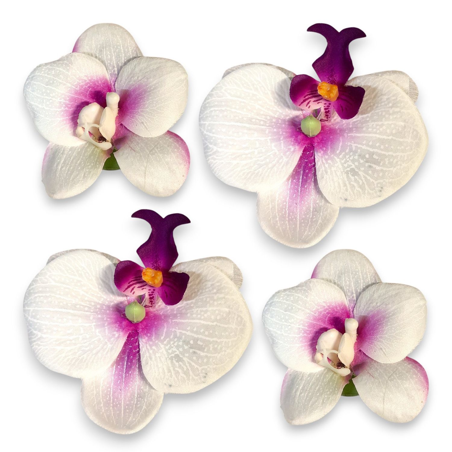 Floating Phalaenopsis Blooms 4pc White