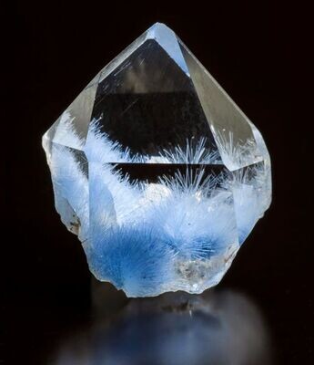 Blue Needle