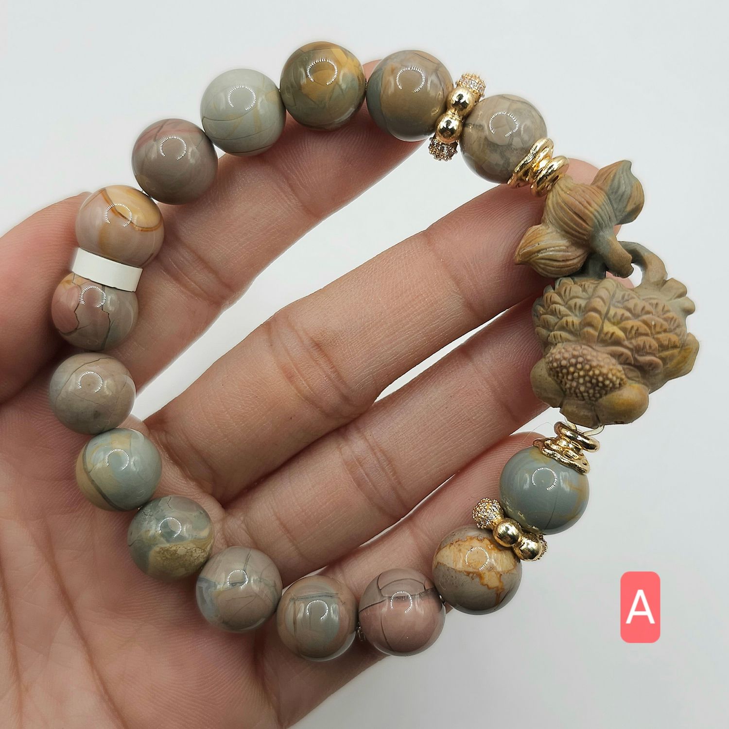 Natural Alashan Agate with Fish
