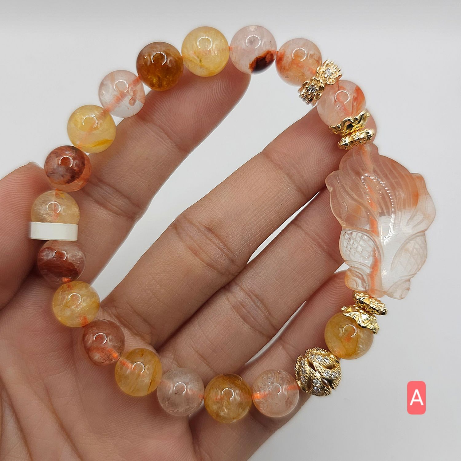 Natural Golden Healer with Fish
