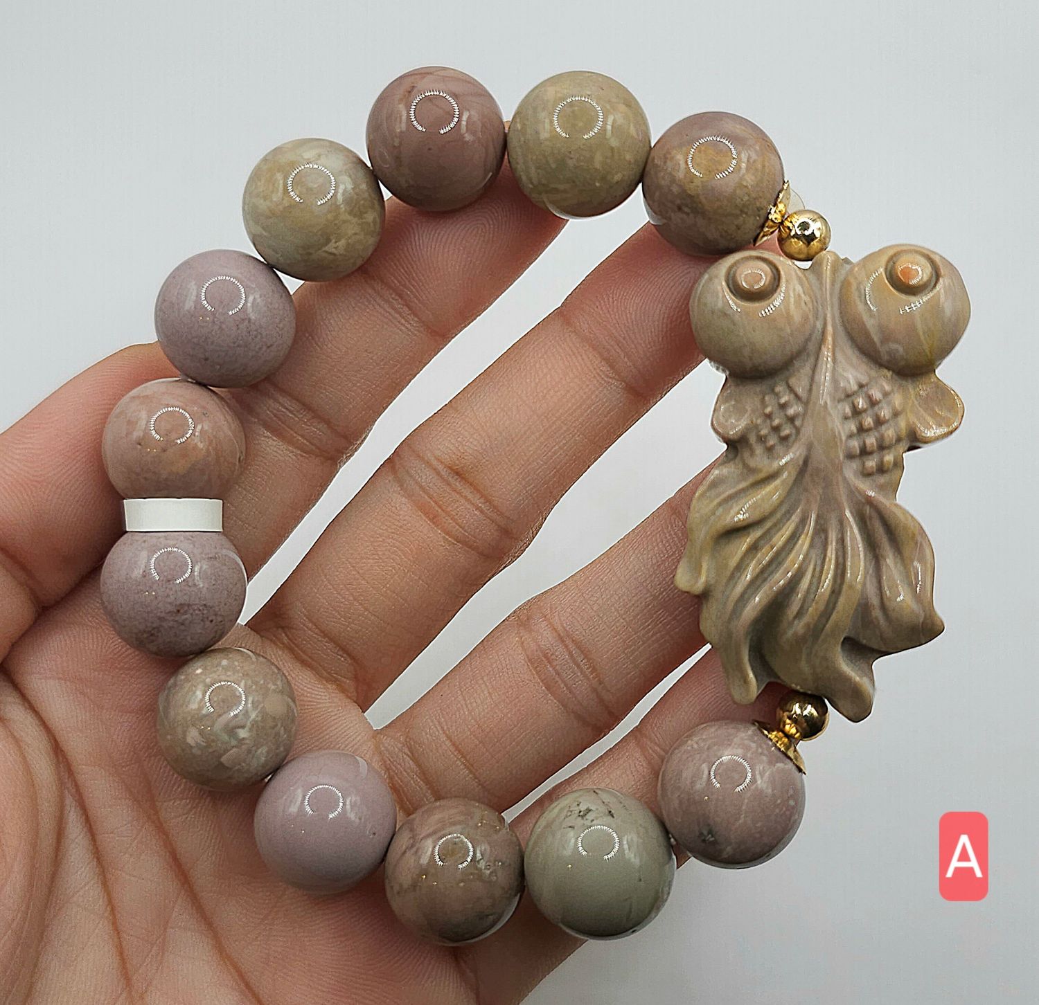Natural Alashan Agate with Fish