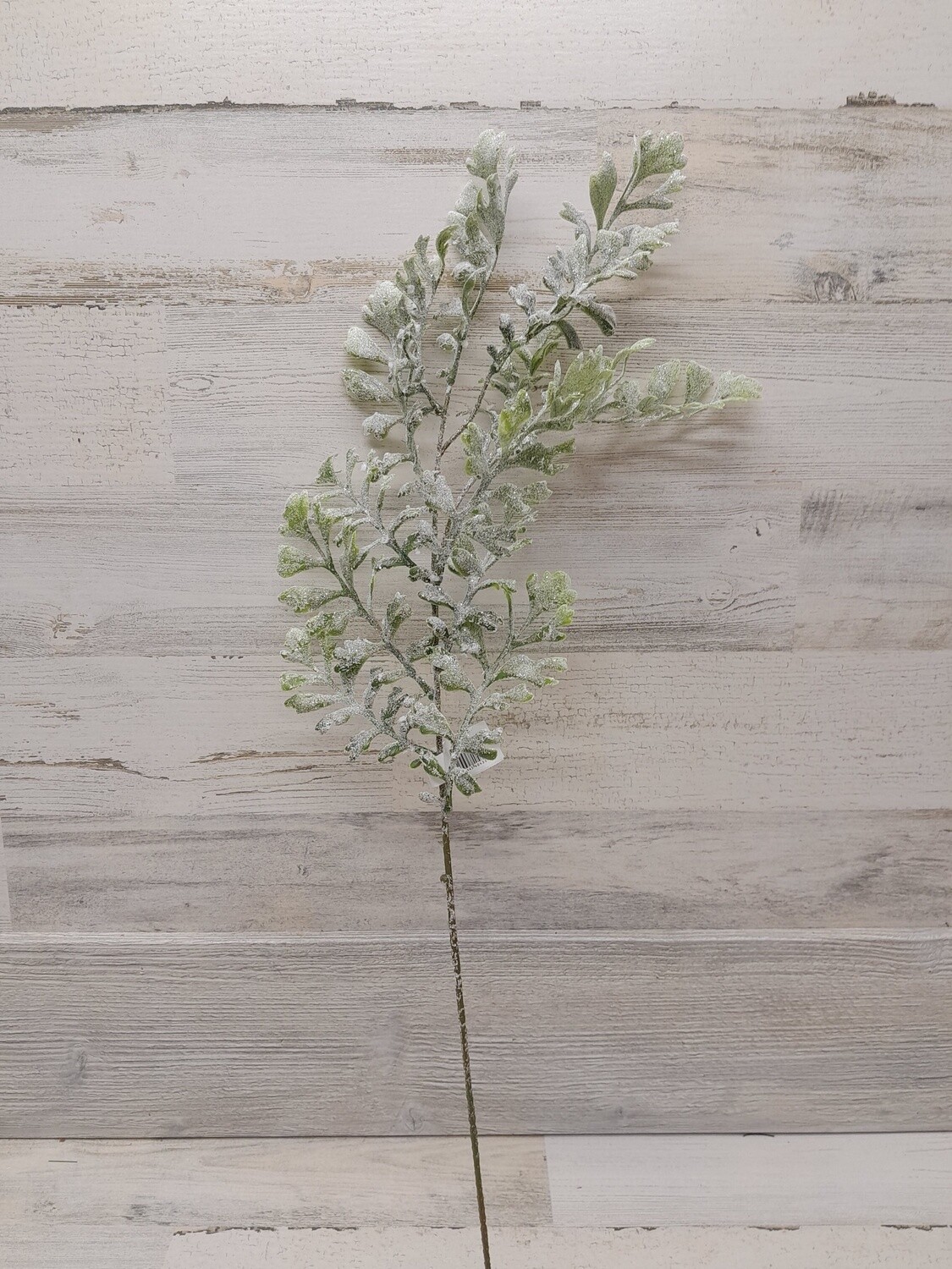 26&quot; Snowy Dusty Miller Stem