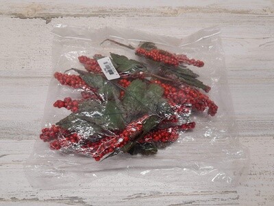 12PC BERRY PICK RED