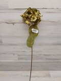 26&quot; Hydrangea Stem AV/Green