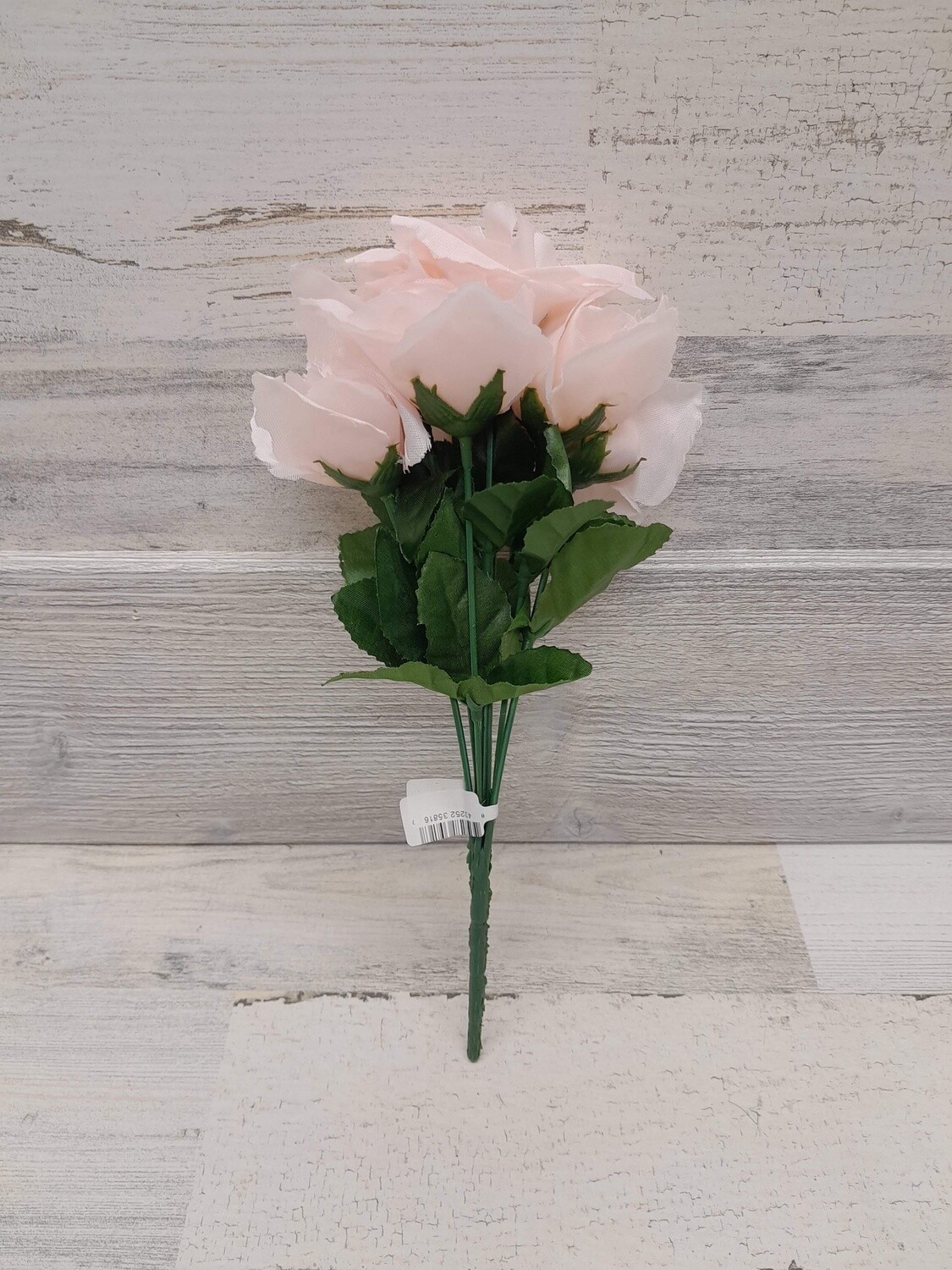 12&quot; Rose Bush x7 New Blush