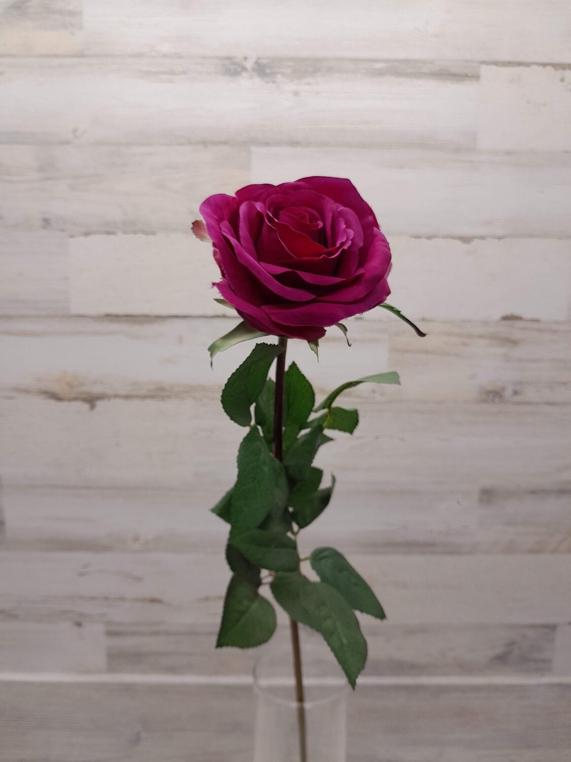 32&quot; Rose Stem Magenta