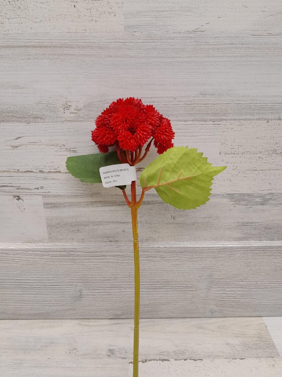 15&quot; Sedum Stem Red