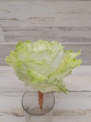 10" CABBAGE W/21 LEAVES GREEN/WHITE