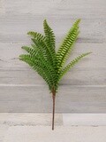 17&quot; Fern Bush Green