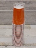 24pc 9oz Paper Cups Tangerine