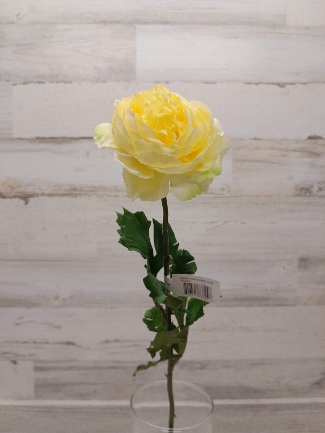 25&quot; Ranunculus Stem Yellow