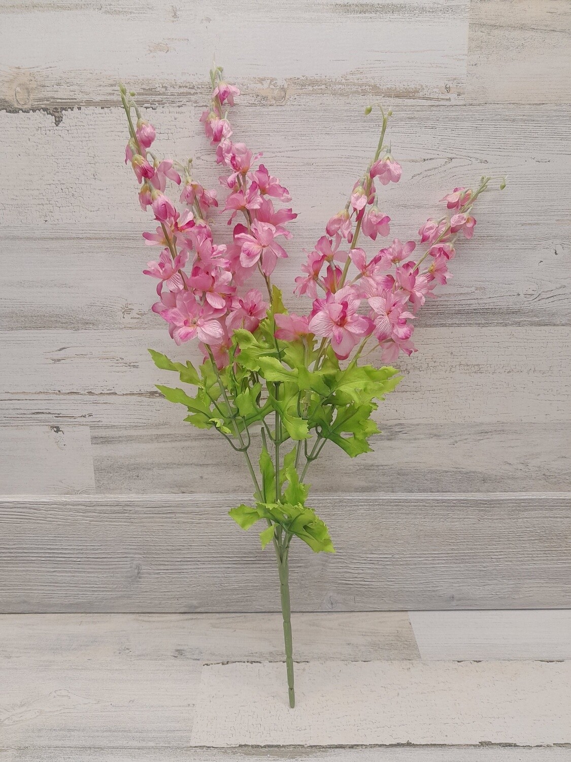 24&quot; Delphinium Bush x5 Pink