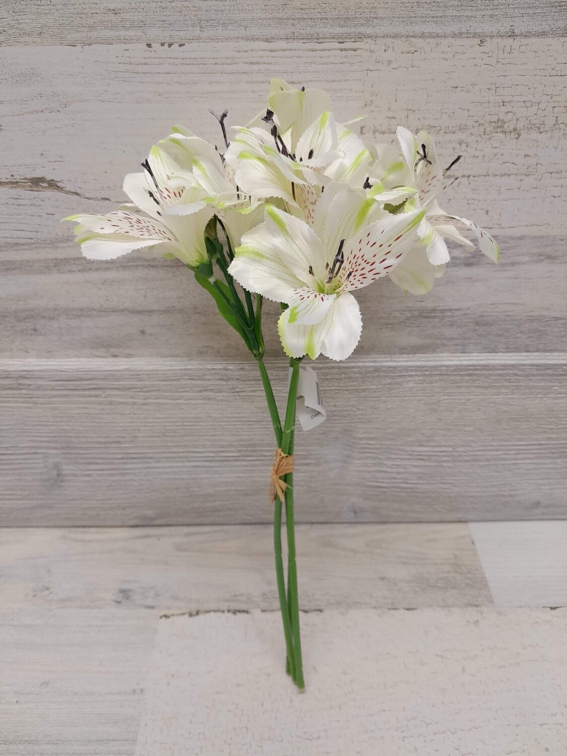 13&quot; Alstroemeria Bundle x3 White