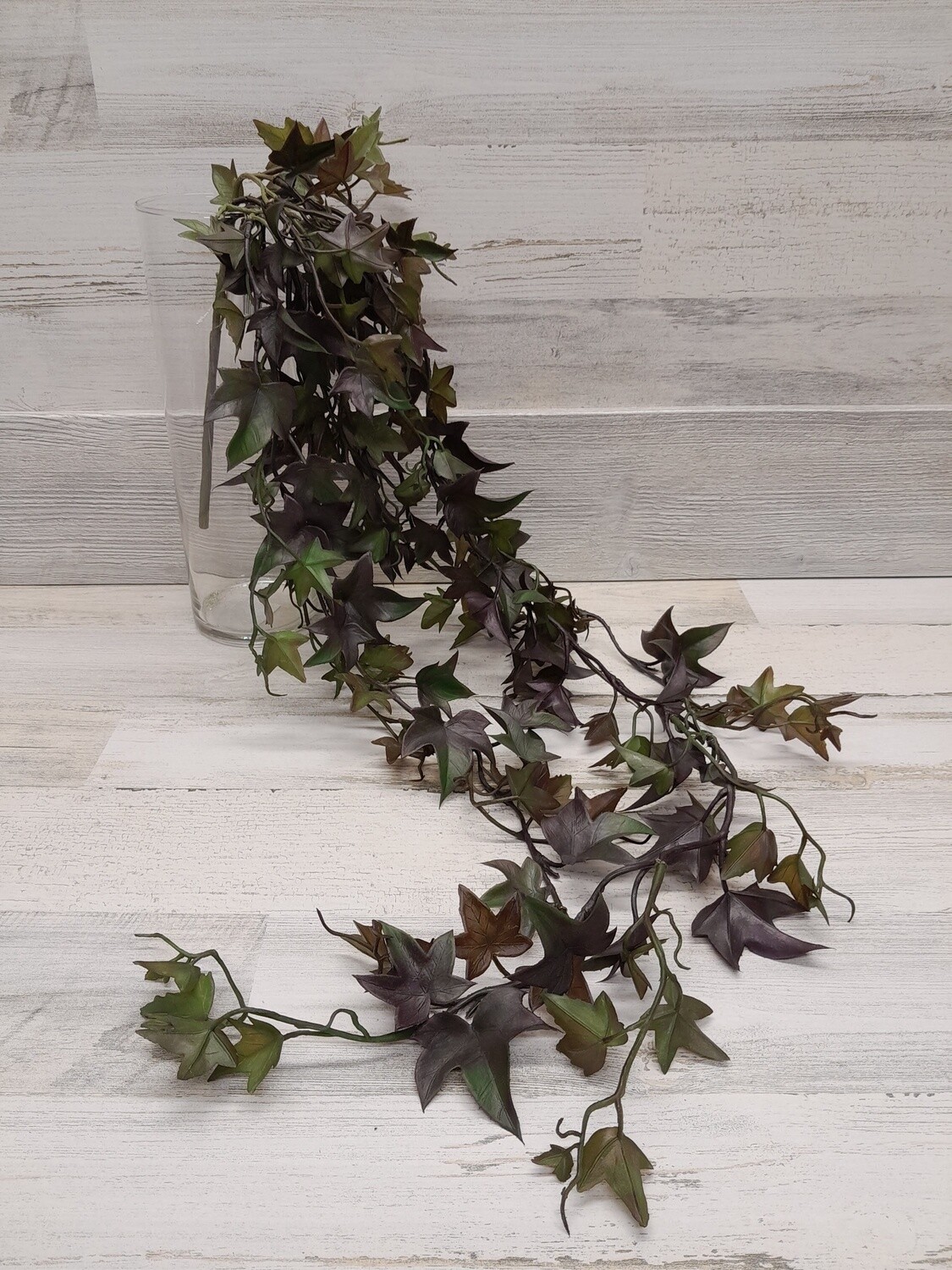 46.5&quot; Potato Leaf Bush Purple/Green