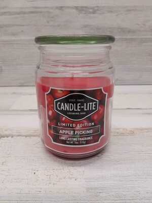 18oz 1 Wick Jar Candle Apple Picking