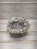 5&quot; Frosted Bird Nest