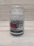 18oz 1 Wick Jar Candle Frosted Juniper/Iced Eucalyptus