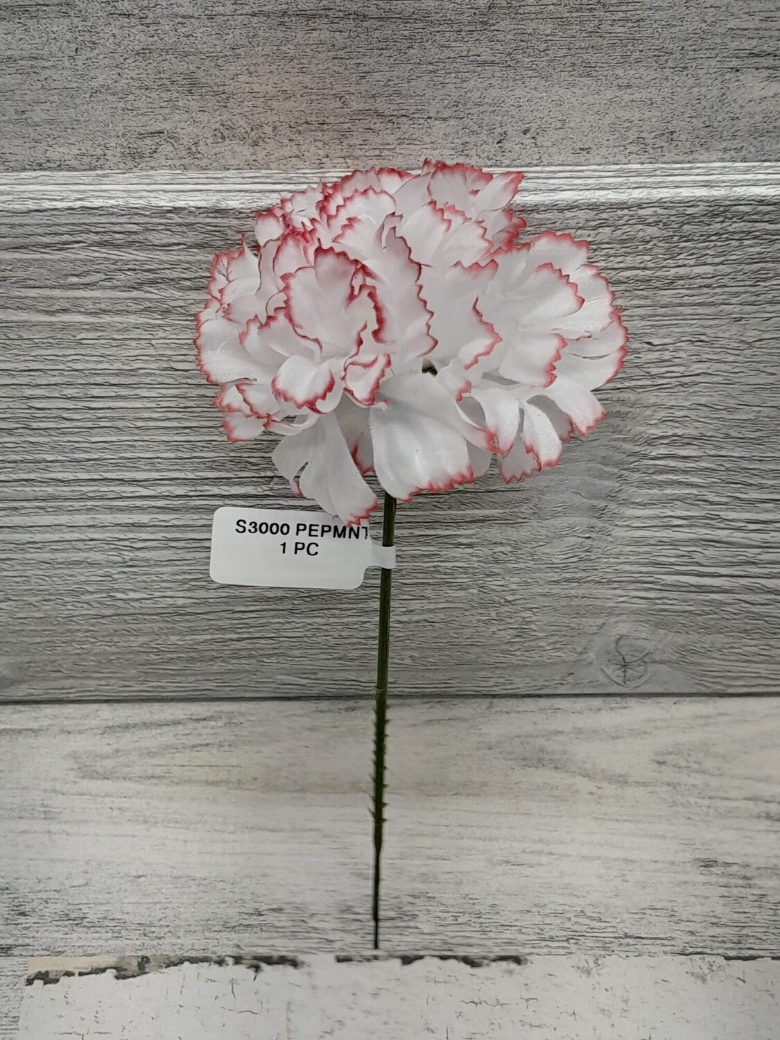 7&quot; Carnation Pick w/3.5&quot; Head Peppermint