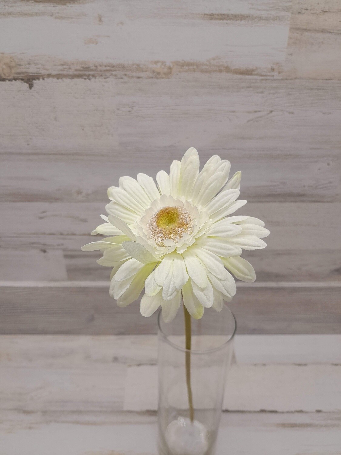 23&quot; Gerbera Daisy Stem  Cream